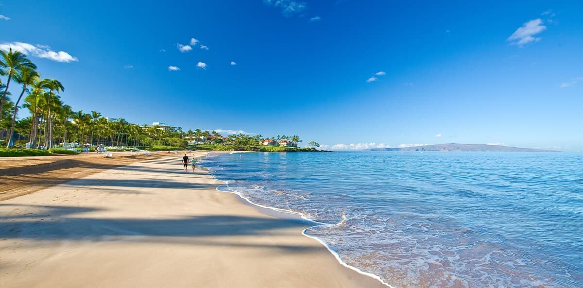 Villa in Wailea · ★5.0 · 3 bedrooms · 4 beds · 3 baths - Photo 5