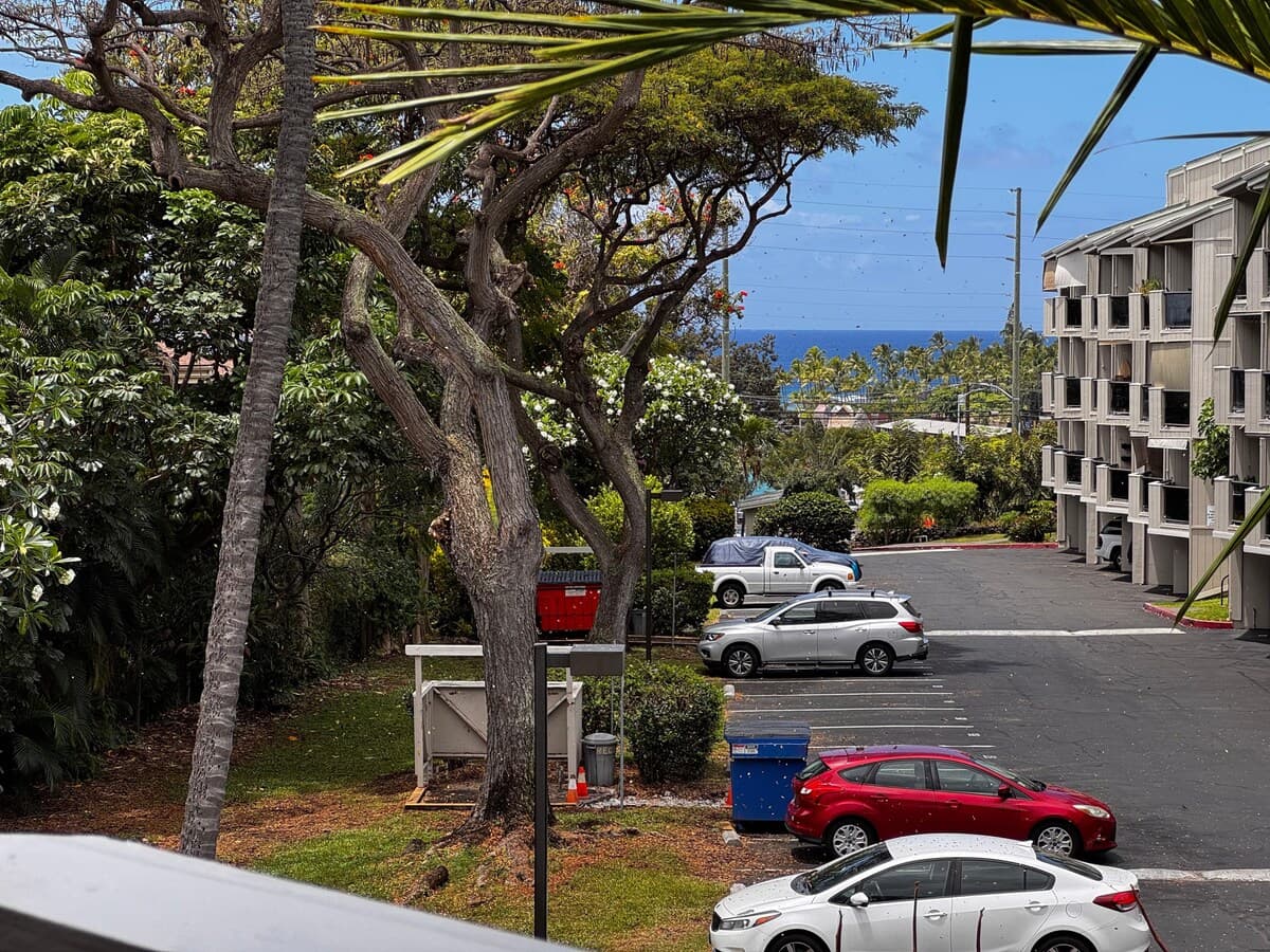 Condo in Kailua-Kona · ★5.0 · 1 bedroom · 2 beds · 1 private bath - Photo 3