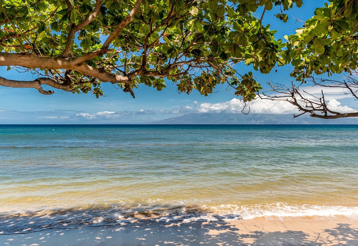 Condo in Lahaina · ★4.92 · 1 bedroom · 3 beds · 1 bath - Photo 3