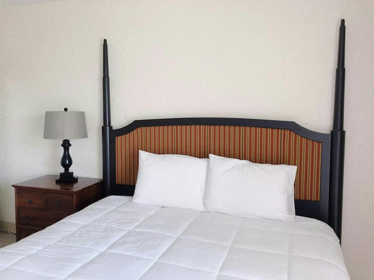 Hotel in Hilo · ★5.0 · 1 bedroom · 1 bed · 1 private bath - Photo 1