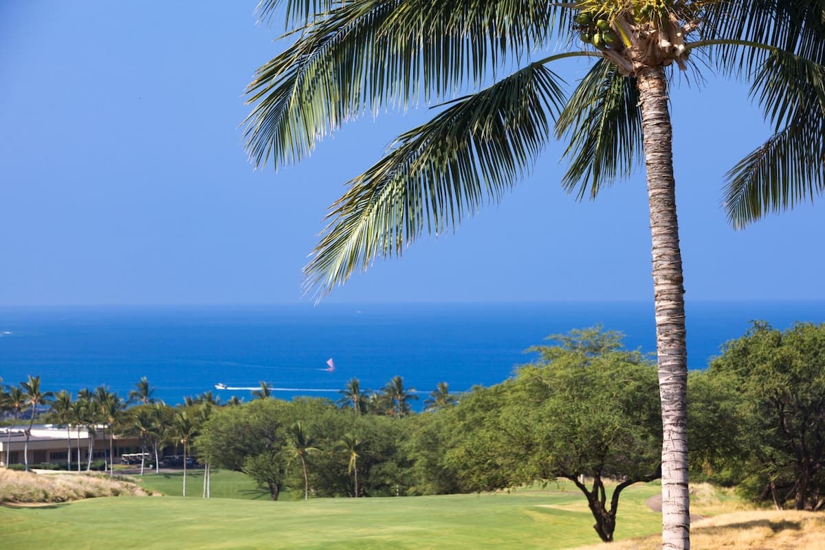 Home in Waimea · ★5.0 · 4 bedrooms · 6 beds · 4.5 baths - Photo 3