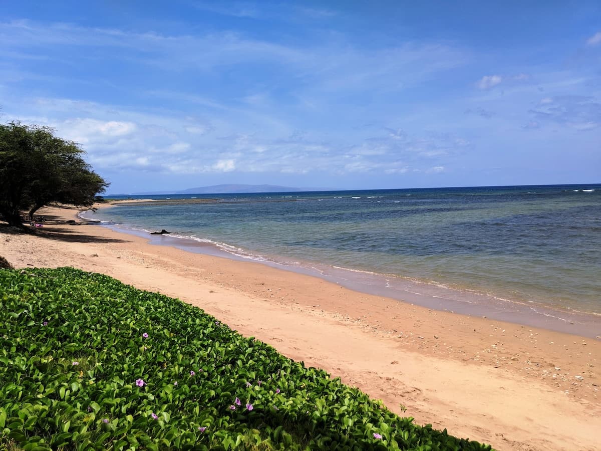 Condo in Kihei · ★4.71 · 2 bedrooms · 4 beds · 2 shared baths - Photo 3