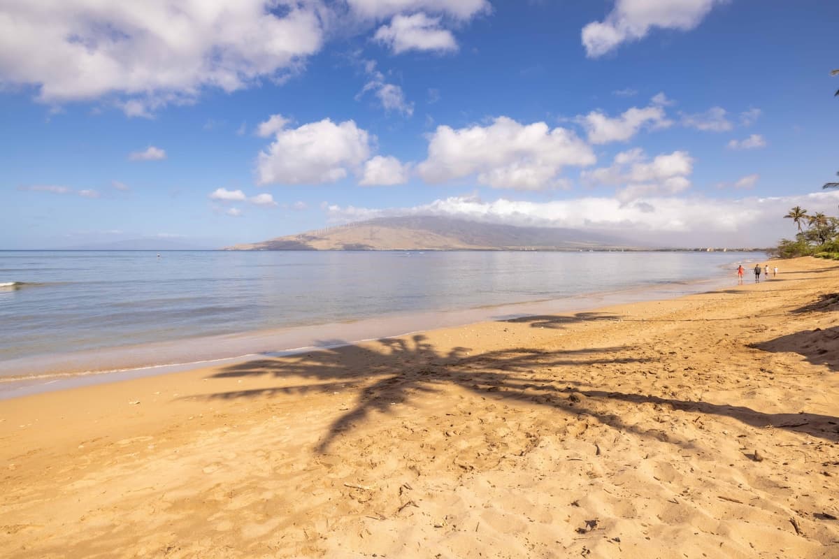 Condo in Kihei · ★4.71 · 2 bedrooms · 4 beds · 2 shared baths - Photo 2