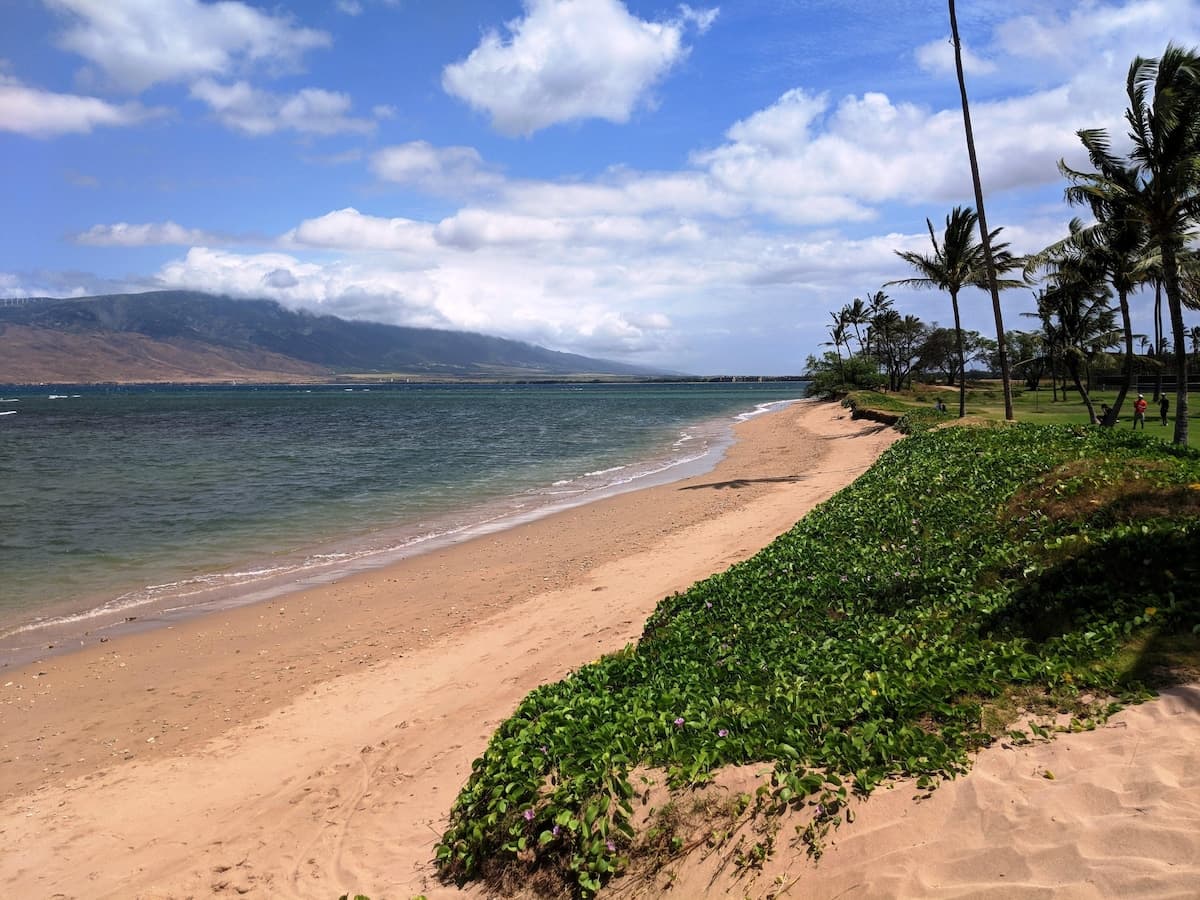 Condo in Kihei · ★4.71 · 2 bedrooms · 4 beds · 2 shared baths - Photo 5