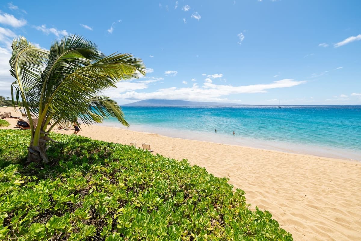 Steps to Kaanapali Beach studio w/ lanai and pool - Photo 1