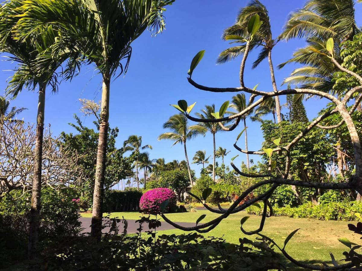 Condo in Princeville · ★4.93 · 2 bedrooms · 2 beds · 2 private baths - Photo 4