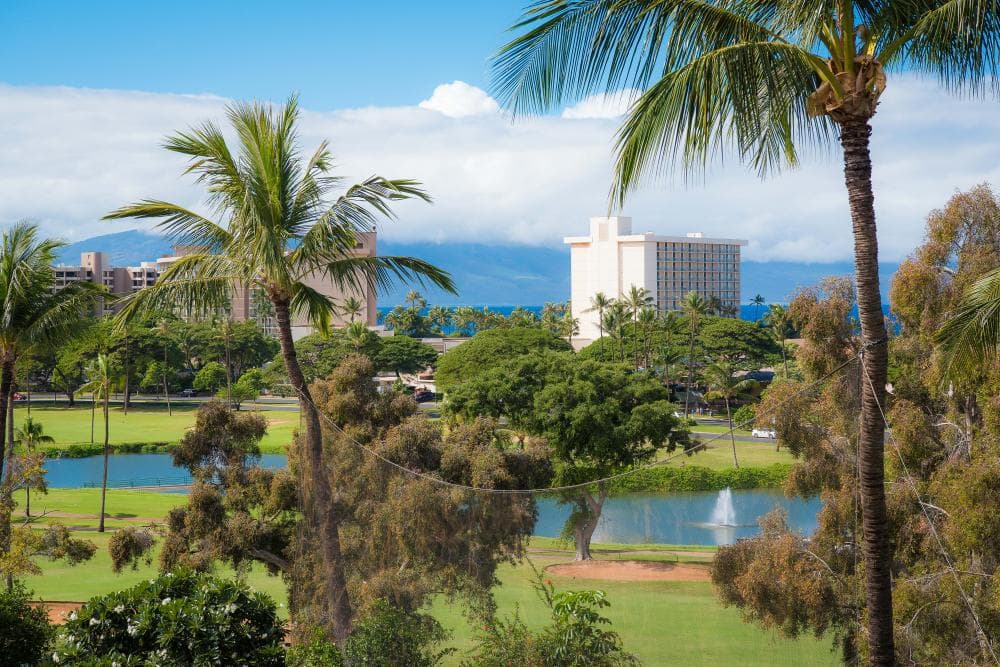 Condo in Lahaina · ★4.88 · 2 bedrooms · 3 beds · 2 private baths - Photo 1