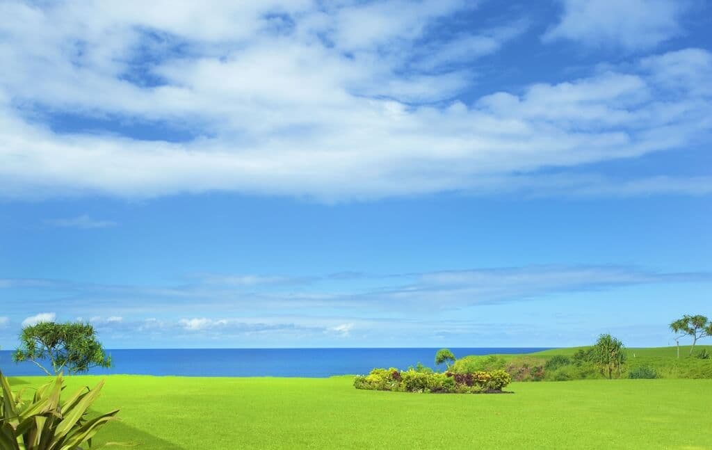 Townhouse in Princeville · ★4.91 · 2 bedrooms · 2 beds · 2 baths - Photo 2