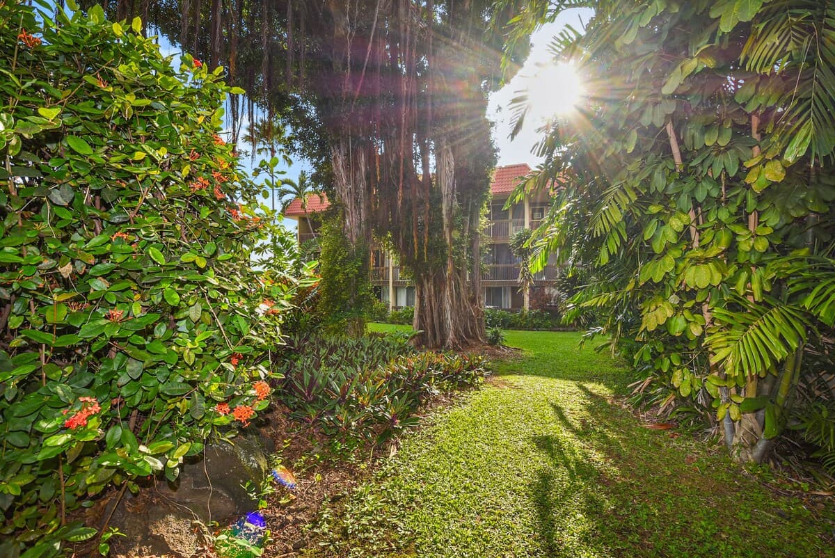 Condo in Kailua-Kona · ★5.0 · 2 bedrooms · 3 beds · 1.5 private baths - Photo 5