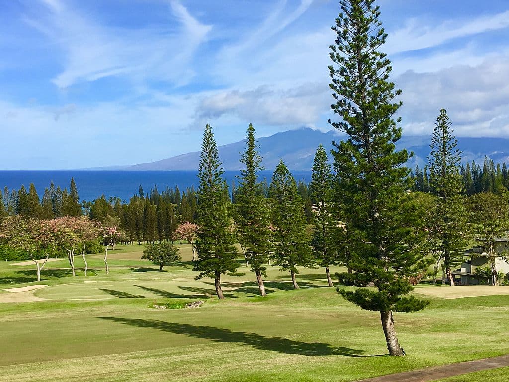Condo in Lahaina · ★4.8 · 1 bedroom · 2 beds · 2 private baths - Photo 1