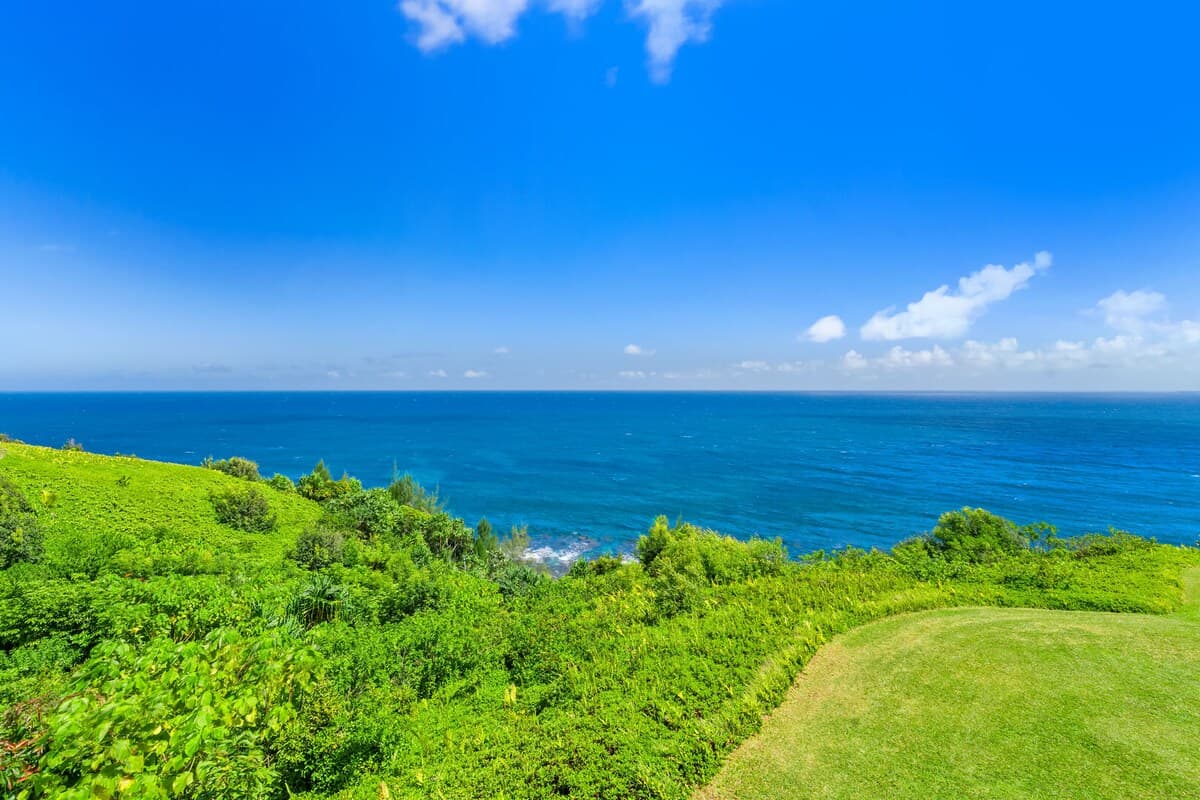 (AK5202) Breathtaking Ocean View of Royal Waters - Photo 3