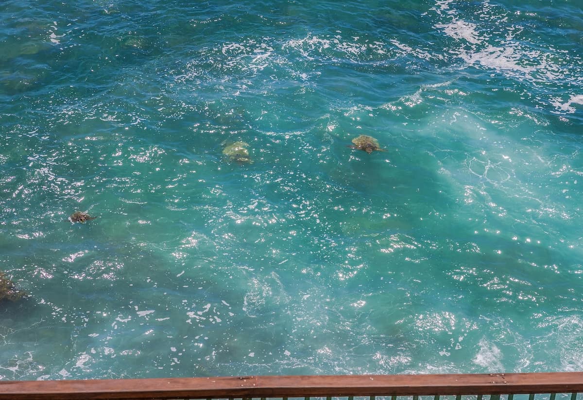 3BR on the ocean in Sunny Poipu + Athletic Club - Photo 5
