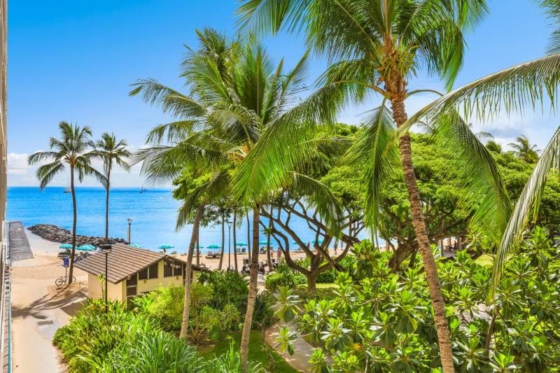 Condo in Honolulu · ★4.83 · 1 bedroom · 1 bed · 1 shared bath - Photo 4