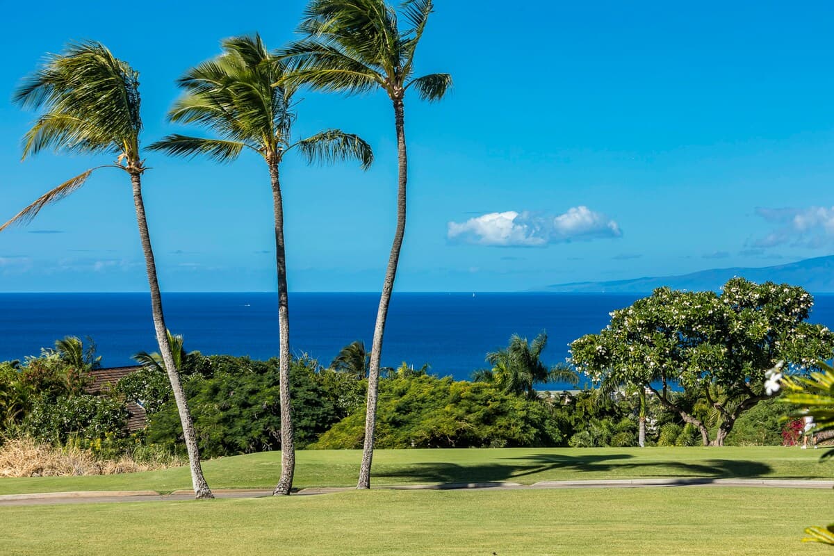 Condo in Kihei · ★4.79 · 2 bedrooms · 3 beds · 2 baths - Photo 5