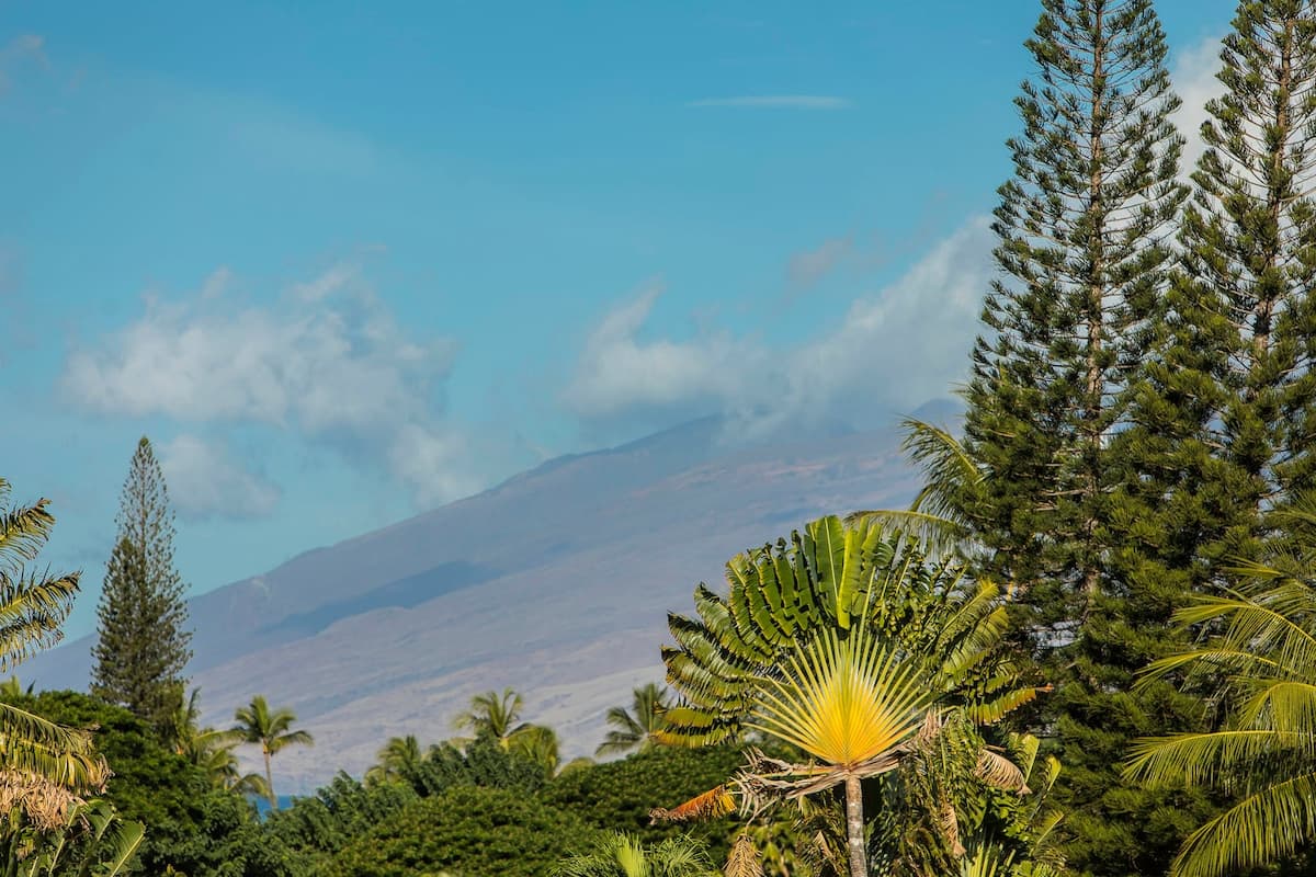 Condo in Kihei · ★4.8 · 2 bedrooms · 2 beds · 2 baths - Photo 3