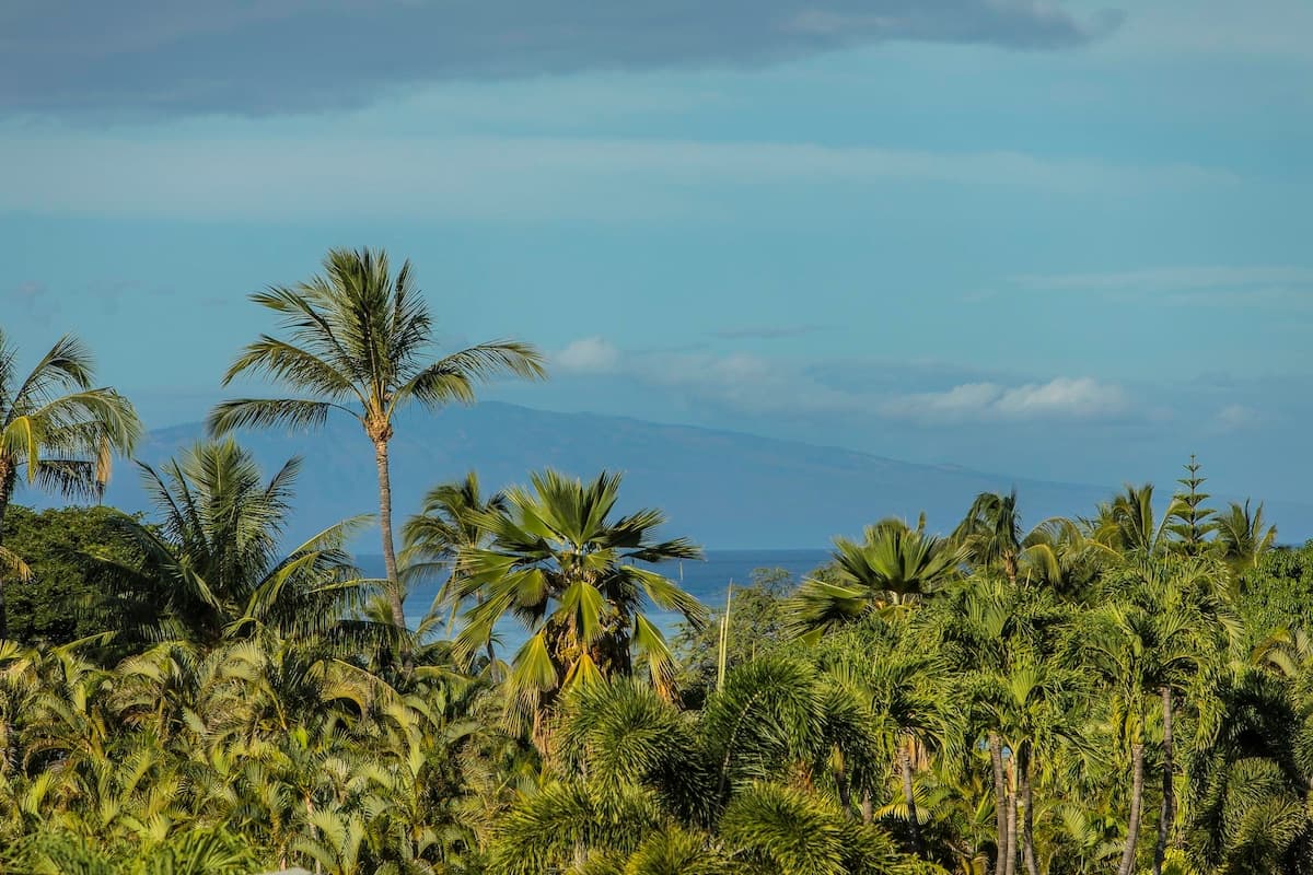 Condo in Kihei · ★4.8 · 2 bedrooms · 2 beds · 2 baths - Photo 2