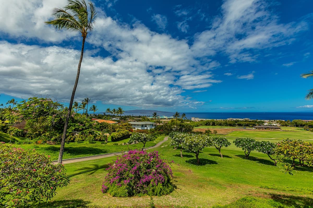Condo in Kihei · ★4.96 · 1 bedroom · 1 bed · 2 baths - Photo 5