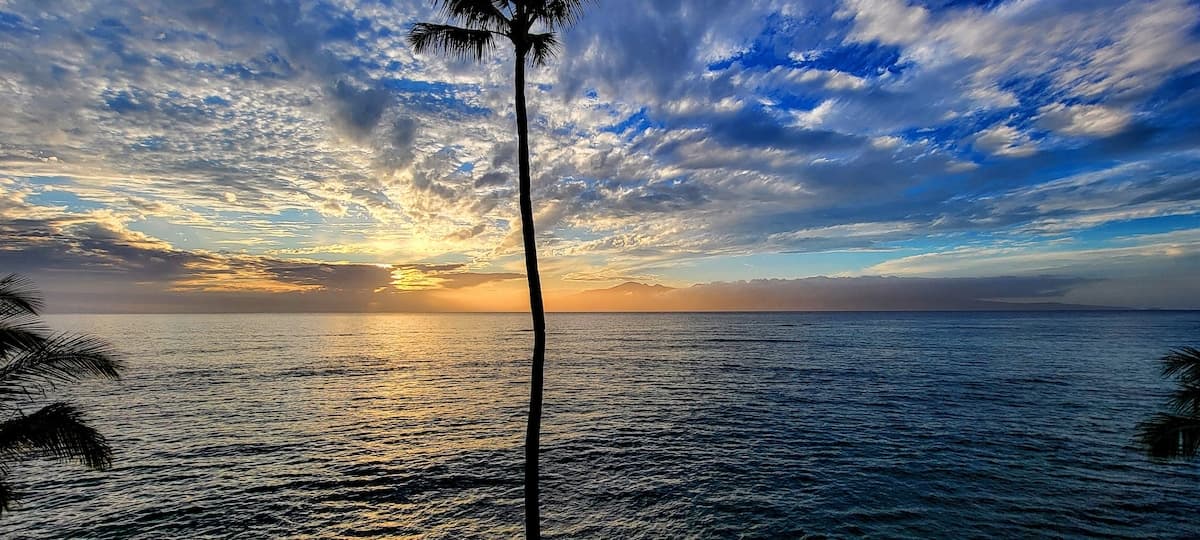 Condo in Lahaina · ★4.89 · 1 bedroom · 2 beds · 1 bath - Photo 4