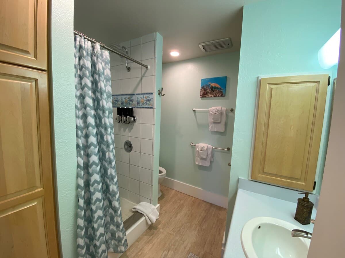 Condo in Pahala · ★4.76 · Studio · 2 beds · 1 shared bath - Photo 5
