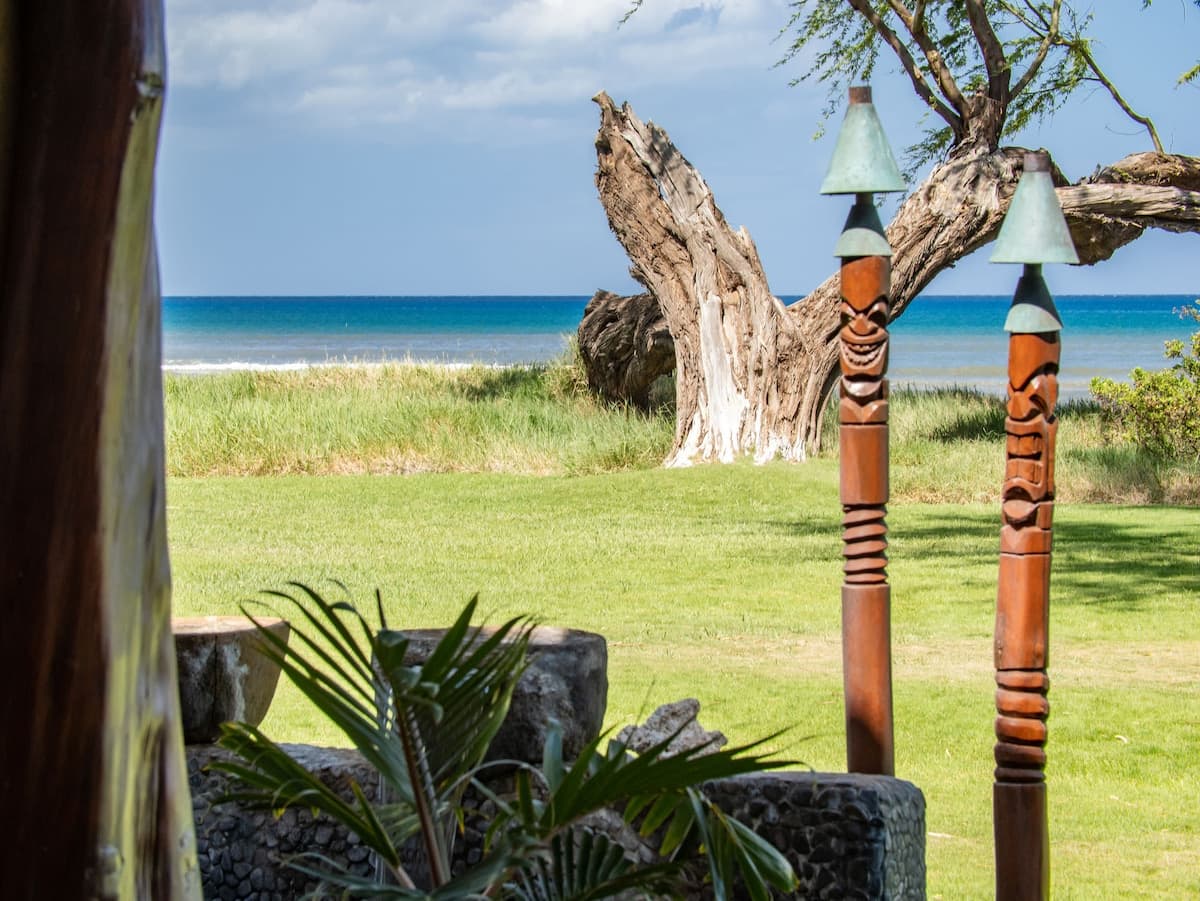 Home in Kihei · ★4.98 · 1 bedroom · 2 beds · 1 bath - Photo 4