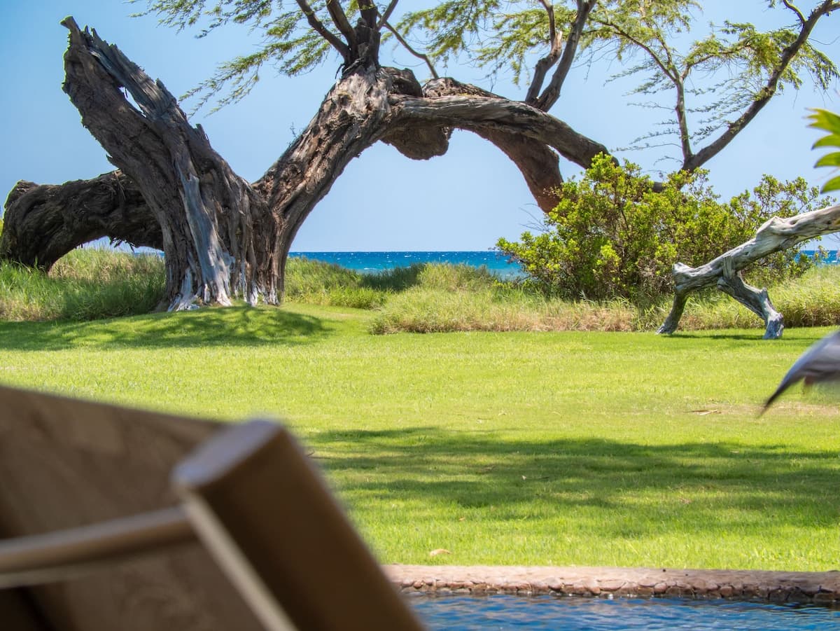 Home in Kihei · ★4.91 · 1 bedroom · 2 beds · 1 bath - Photo 5
