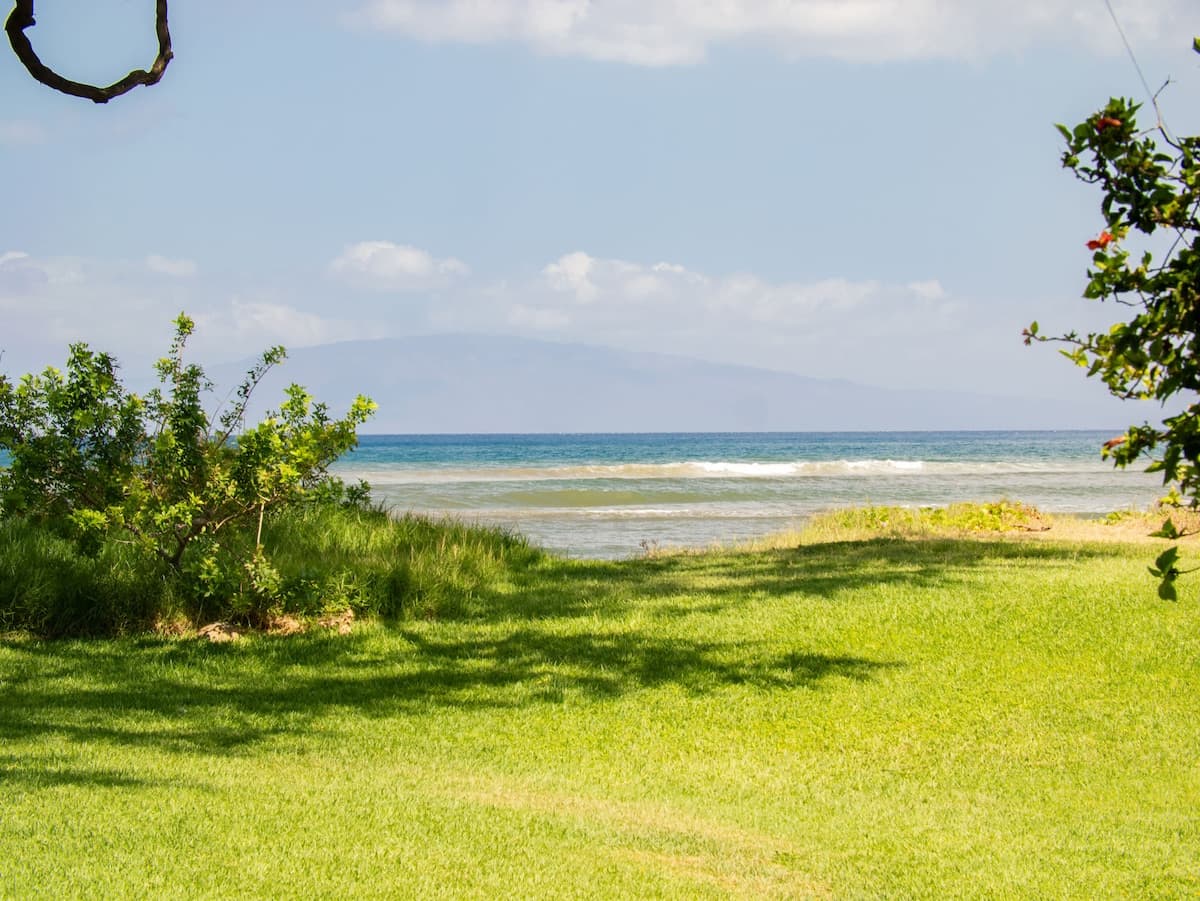Aloha Aku CoCoPalm2 Suite Cozy Beachfront Escape - Photo 3