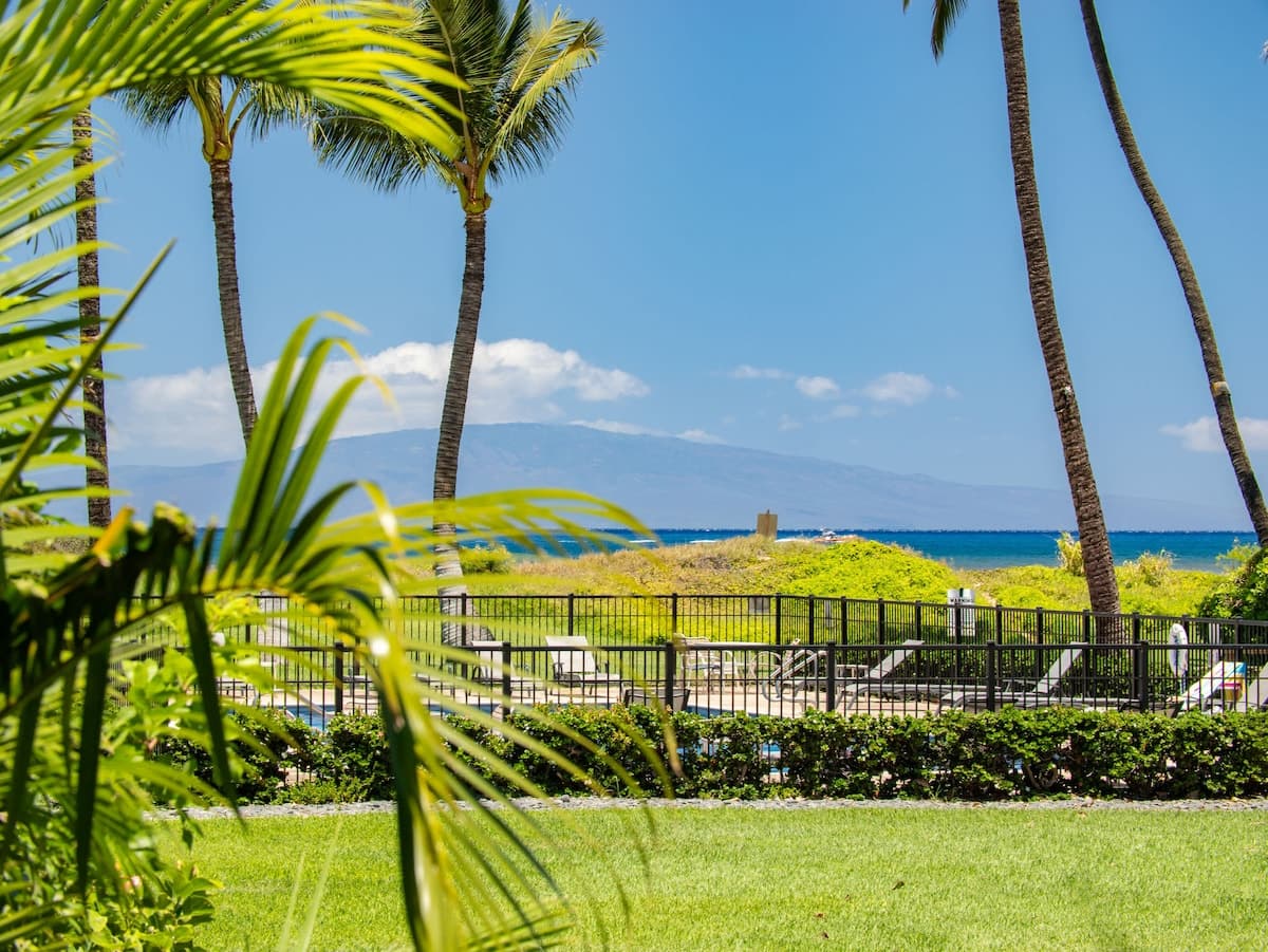 Condo in Kihei · ★4.88 · 1 bedroom · 2 beds · 1 private bath - Photo 3