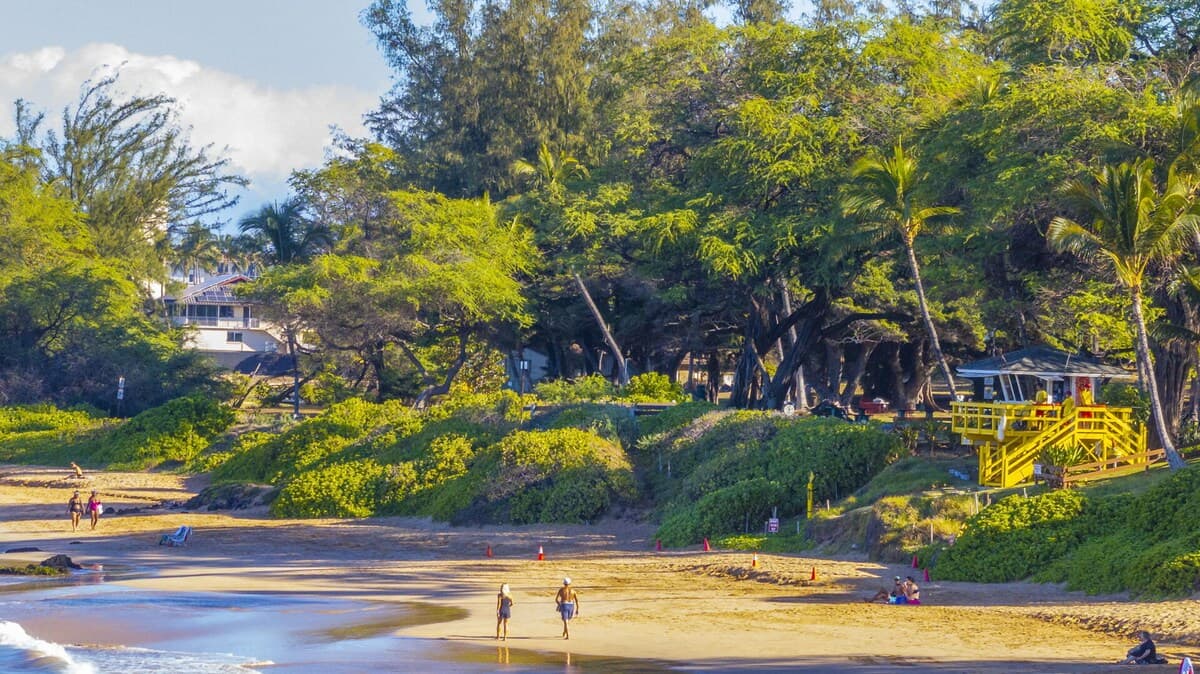 Condo in Kihei · ★4.67 · 1 bedroom · 2 beds · 2 baths - Photo 2