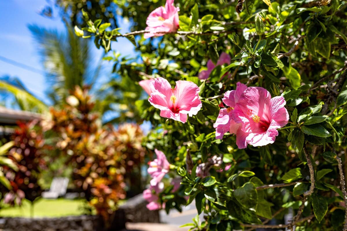 Family-Friendly 4BR Oasis by Magic Sands - Photo 3