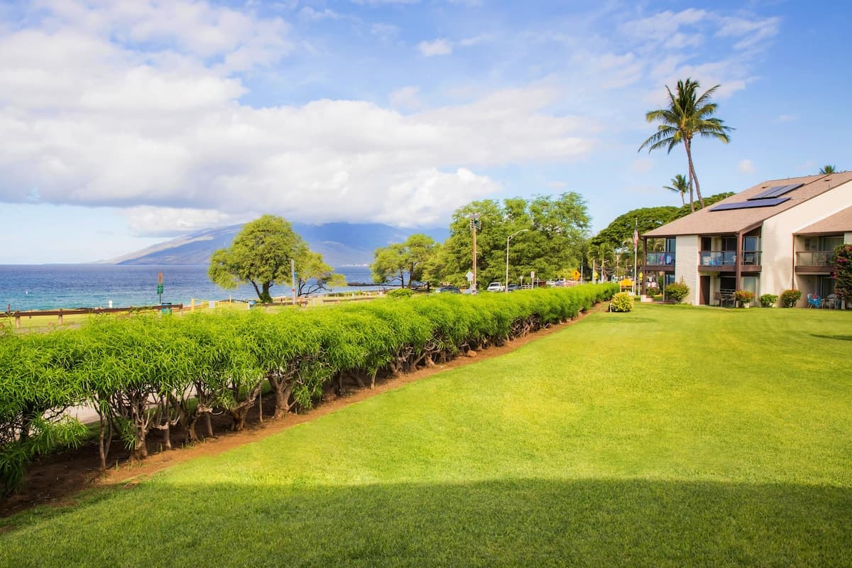 Condo in Kihei · ★4.5 · 1 bedroom · 2 beds · No bathroom - Photo 2