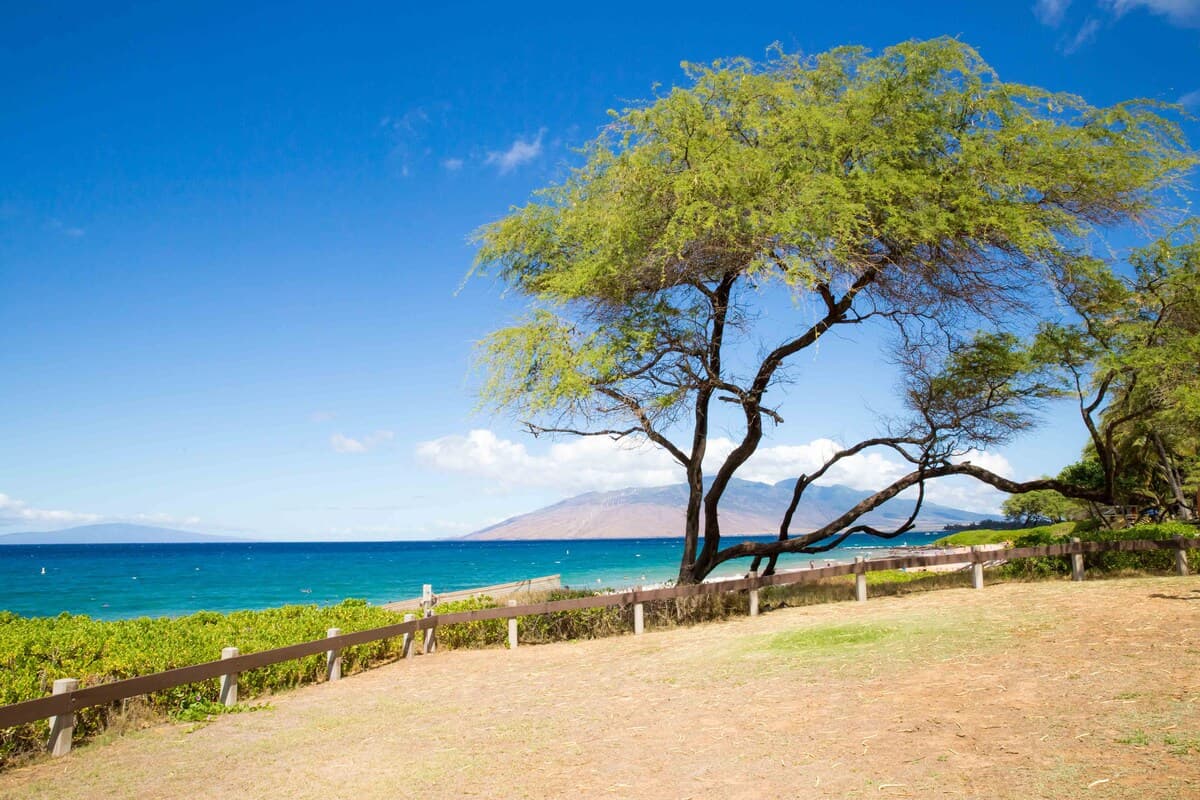 Condo in Kihei · ★4.67 · 1 bedroom · 2 beds · 1 bath - Photo 2