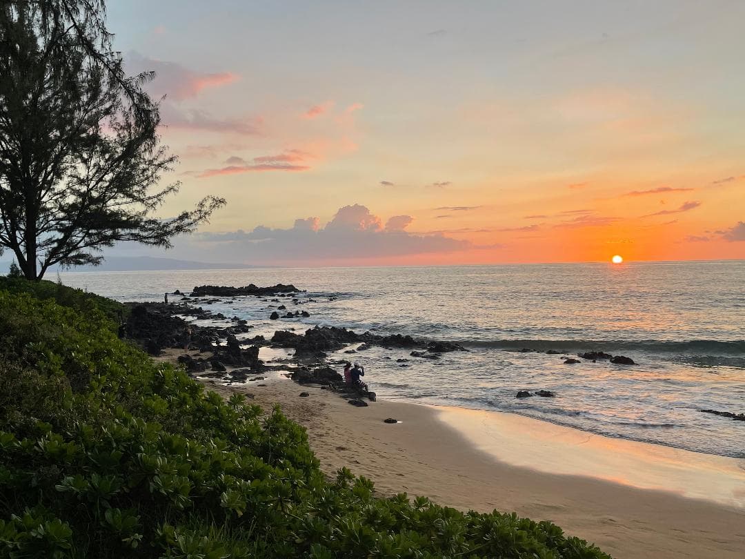 Condo in Kihei · ★4.5 · 2 bedrooms · 4 beds · No bathroom - Photo 4