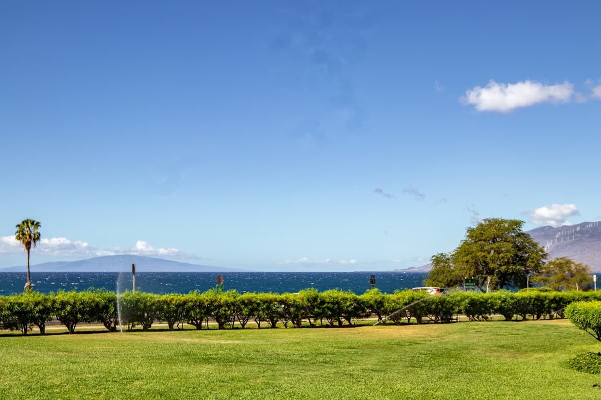 Condo in Kihei · ★5.0 · 1 bedroom · 1 bed · 1 bath - Photo 4