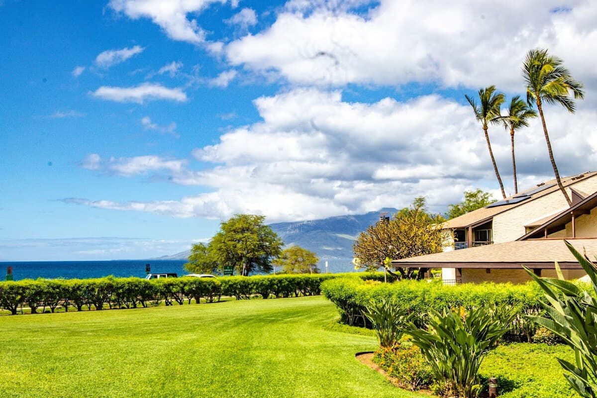 Condo in Kihei · ★5.0 · 1 bedroom · 1 bed · 1 bath - Photo 3