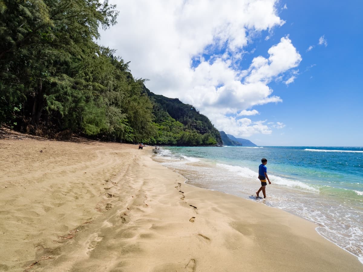 Home in Hanalei · ★4.96 · 5 bedrooms · 6 beds · 3 private baths - Photo 4