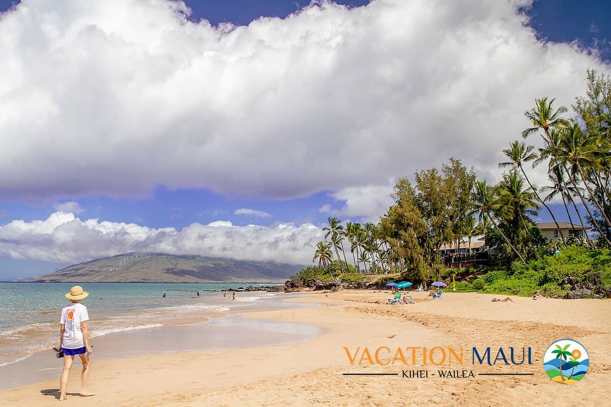Condo in Kihei · ★4.86 · 1 bedroom · 2 beds · 1 private bath - Photo 5