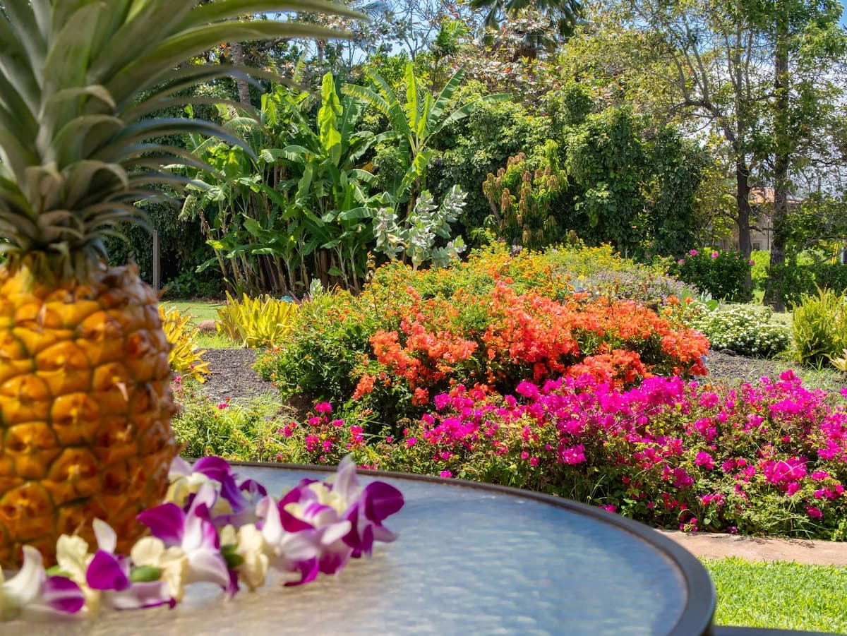 Condo in Kihei · ★5.0 · 1 bedroom · 2 beds · 1 bath - Photo 2