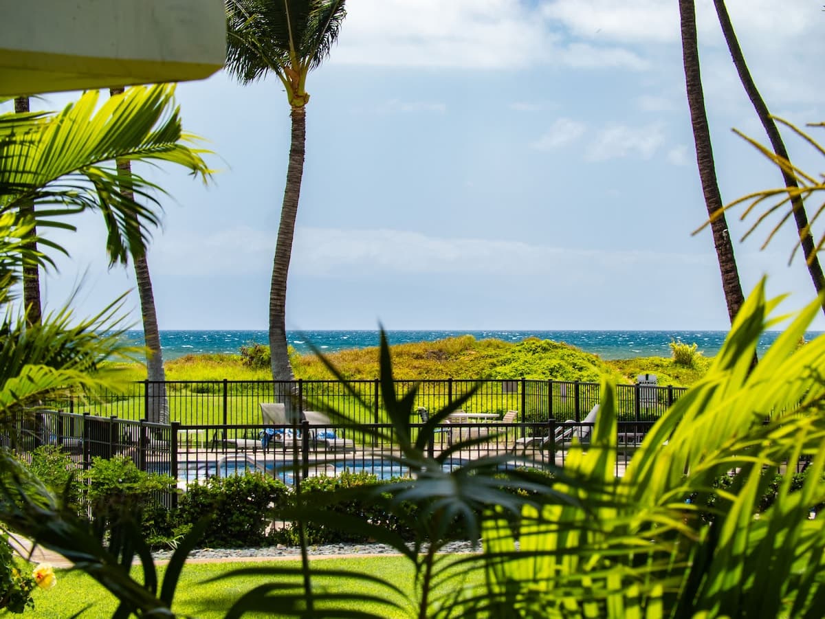 Condo in Kihei · ★4.98 · 1 bedroom · 2 beds · 1 bath - Photo 4