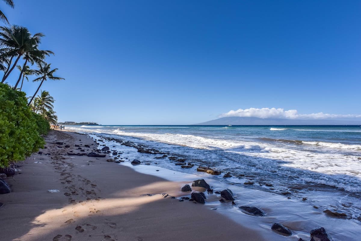 Condo in Lahaina · ★5.0 · 1 bedroom · 2 beds · 1 shared bath - Photo 2