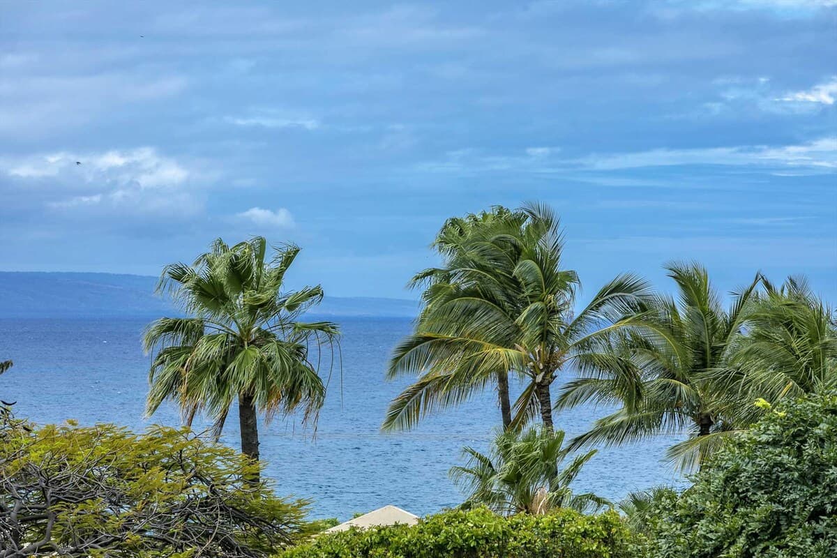 Condo in Kihei · ★4.92 · 1 bedroom · 1 bed · 1 private bath - Photo 5