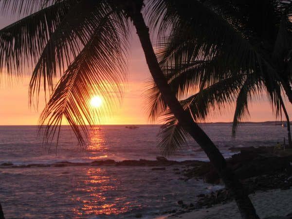 Condo in Kailua-Kona · ★4.47 · 1 bedroom · 2 beds · 1 bath - Photo 4