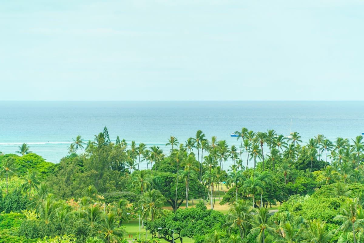 Condo in Honolulu · ★4.69 · 2 bedrooms · 3 beds · 2 shared baths - Photo 1