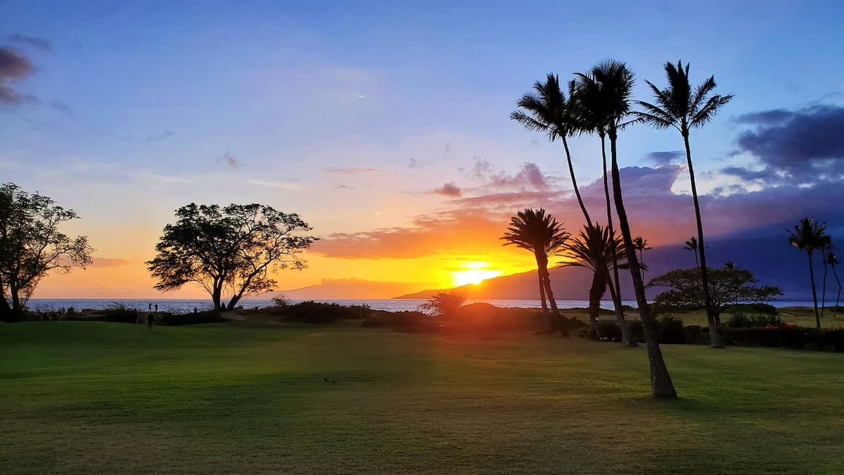 Beautiful oceanview one bd deluxe with FREE a/c - Photo 3