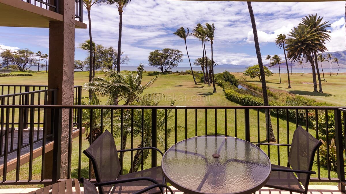 One Bd ocean view, Budget price, wifi, pool, A206 - Photo 1