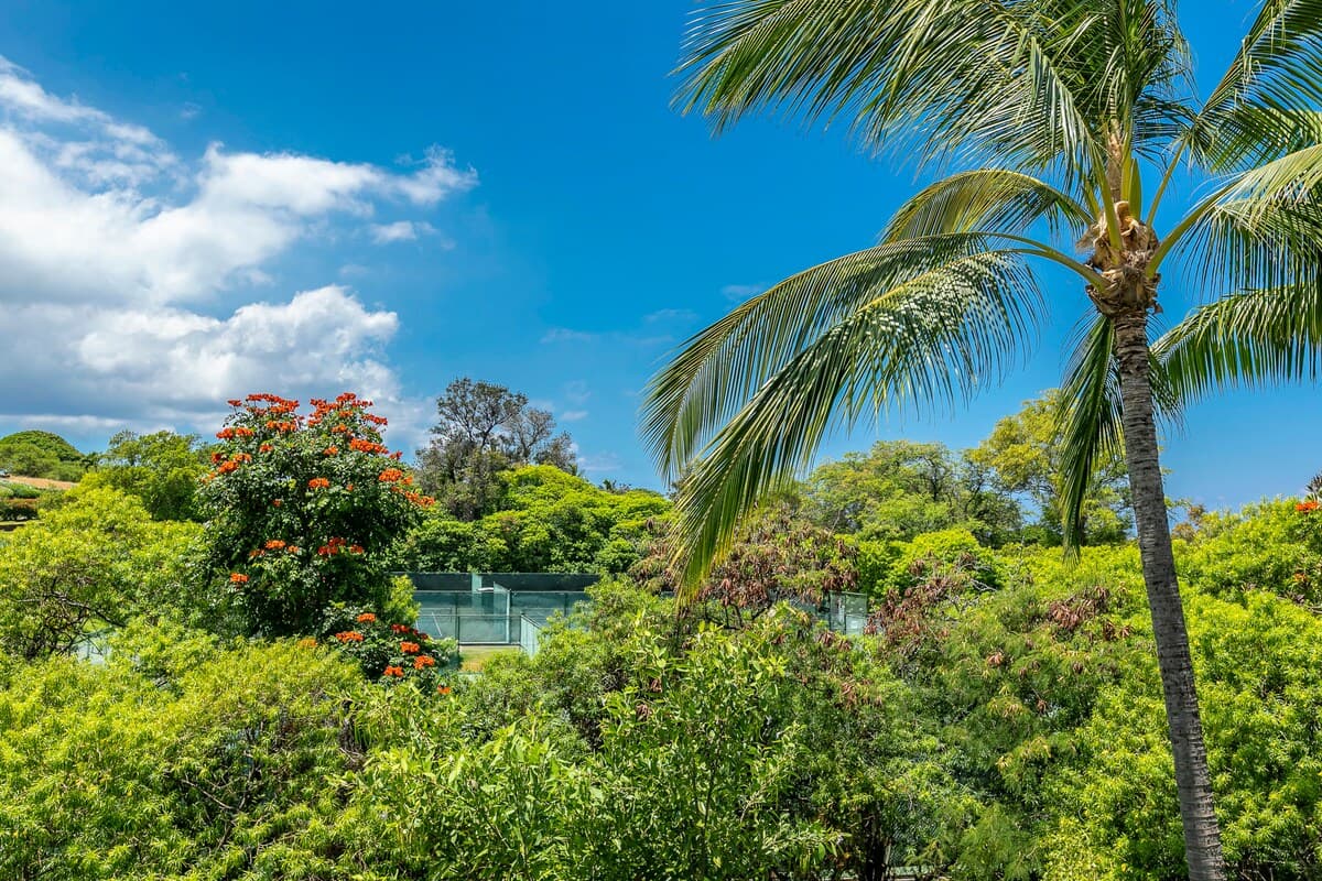 Condo in Wailea · ★4.66 · 1 bedroom · 2 beds · 2 shared baths - Photo 4