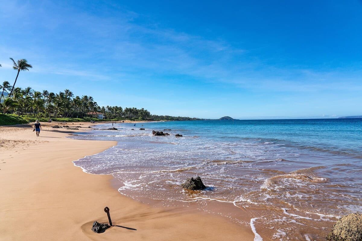 Condo in Kihei · ★4.89 · 3 bedrooms · 4 beds · 3 baths - Photo 5
