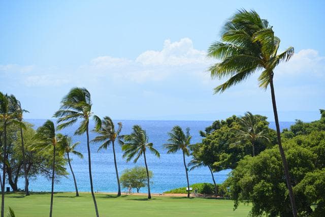 Home in Kaanapali · ★4.8 · Studio · 1 bed · 1 bath - Photo 4