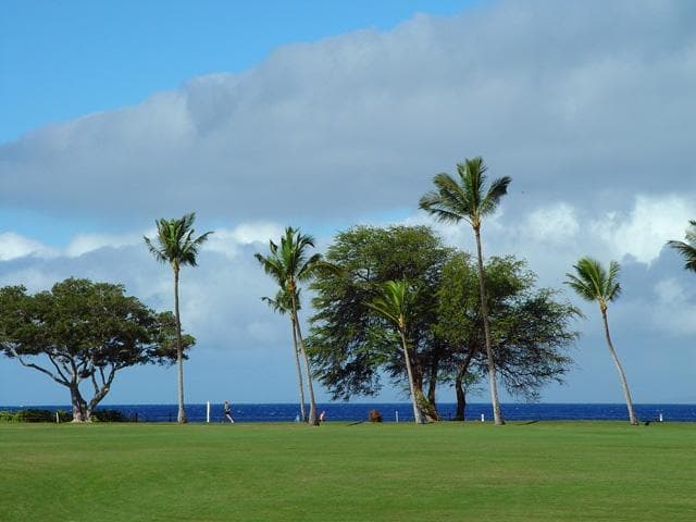 Condo in Kaanapali · ★4.84 · 1 bedroom · 2 beds · 1 bath - Photo 1