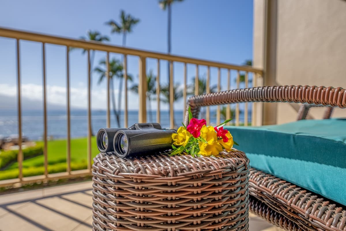 Condo in Wailuku · ★4.85 · 1 bedroom · 2 beds · 1 bath - Photo 5