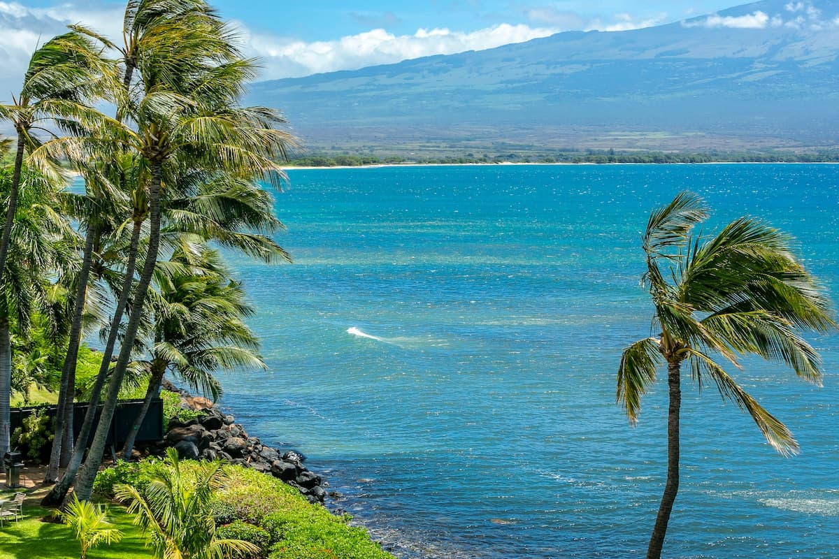 Condo in Wailuku · ★4.41 · 2 bedrooms · 2 beds · 2 shared baths - Photo 3